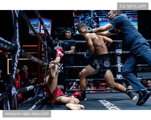 拳击新秀用“闪躲节奏”颠覆对手节奏