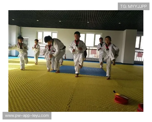 跆拳道学院加强青少年礼仪与武德教育课程体系，跆拳道礼仪的重要性总结感悟