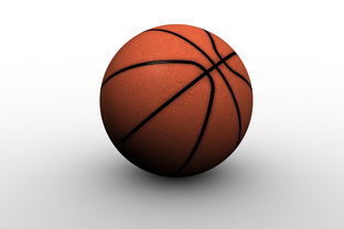 乐鱼app-中国篮球职业俱乐部青训人才培养路径探索，篮球青训队招聘条件